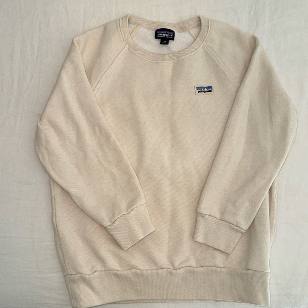 Patagonia Shirt